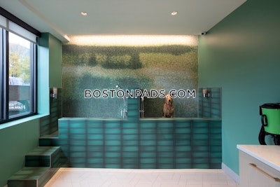 Mission Hill 2 Beds No Bath Boston - $3,679