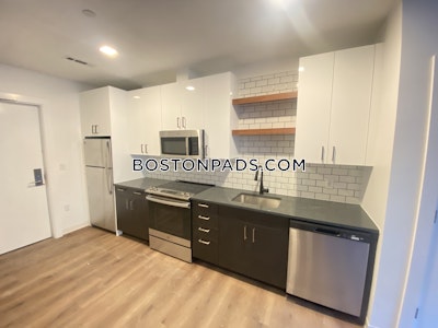 Allston 2 Beds 2 Baths Boston - $4,425 No Fee