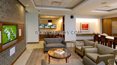Downtown Apartment for rent 1 Bedroom 1 Bath Boston - $3,990