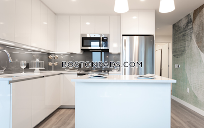 West End Apartment for rent 2 Bedrooms 2 Baths Boston - $10,492