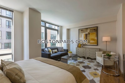 West End Apartment for rent 2 Bedrooms 1 Bath Boston - $5,160