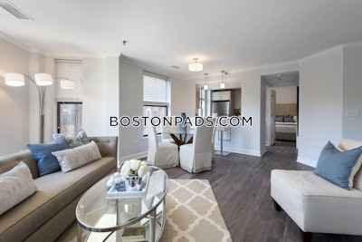 Back Bay 1 bedroom  baths Luxury in BOSTON Boston - $4,260