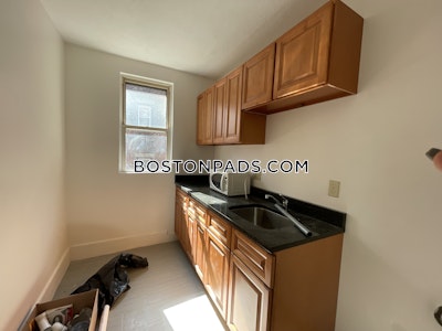 Allston Apartment for rent 1 Bedroom 1 Bath Boston - $2,100