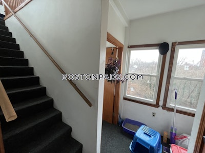 Fort Hill Apartment for rent 3 Bedrooms 1 Bath Boston - $3,700
