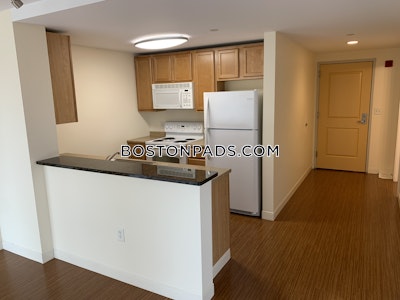 Dorchester Apartment for rent 2 Bedrooms 2 Baths Boston - $3,424 No Fee