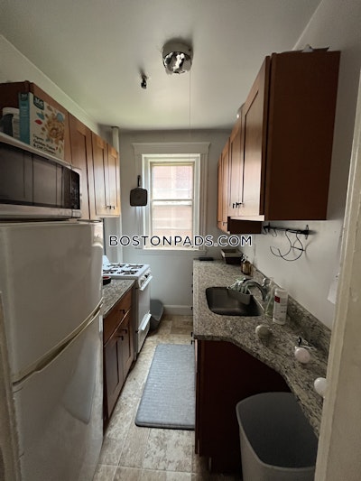 Allston Apartment for rent 1 Bedroom 1 Bath Boston - $2,500