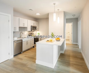 Jamaica Plain Apartment for rent 2 Bedrooms 1 Bath Boston - $3,715