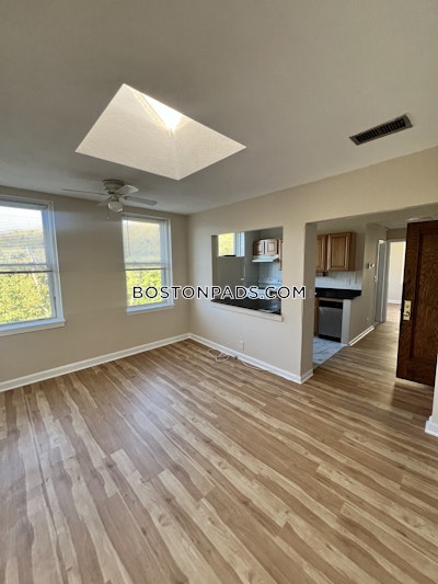 Brighton Apartment for rent 1 Bedroom 1 Bath Boston - $2,100