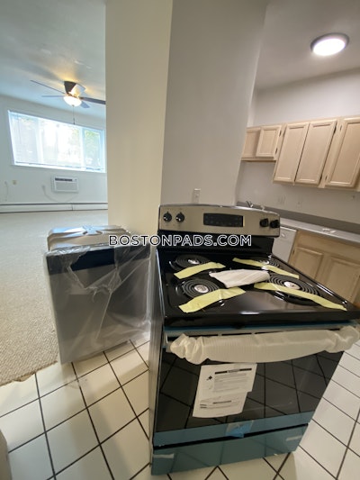 Jamaica Plain Apartment for rent 1 Bedroom 1 Bath Boston - $2,500