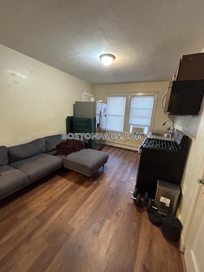 Roxbury Apartment for rent 1 Bedroom 1 Bath Boston - $1,800 No Fee