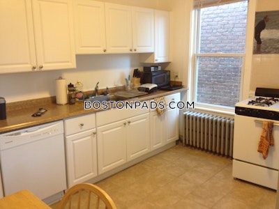 Allston/brighton Border Apartment for rent 3 Bedrooms 1 Bath Boston - $4,000