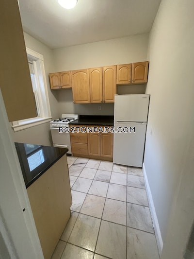 Allston Apartment for rent 1 Bedroom 1 Bath Boston - $2,500